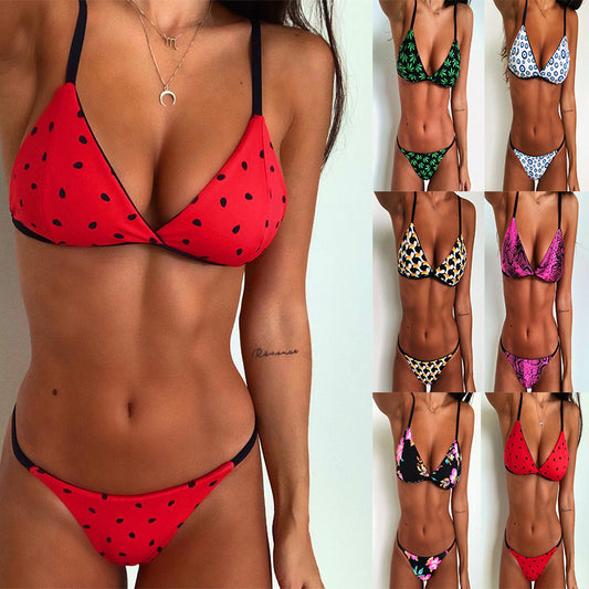 Bikini Sexy Swimsuit Two Piece Set